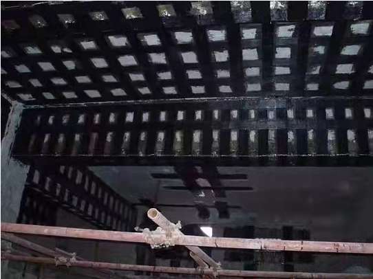 1650428519503392.jpg 9bb0aecc73591700a6aa16063c8dd99b.jpg