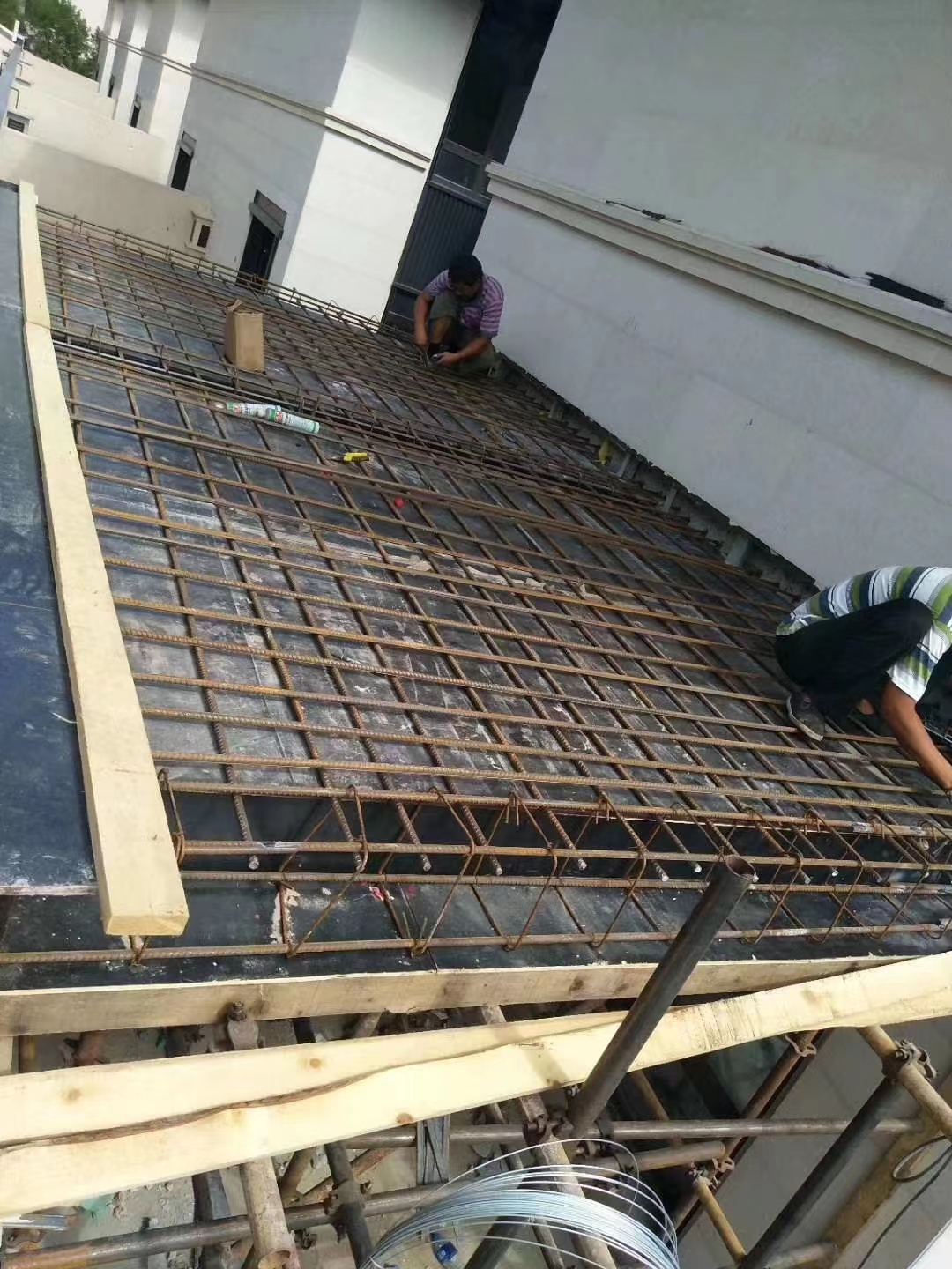 1705044805959364.jpg 微信图片_20231213120605.jpg